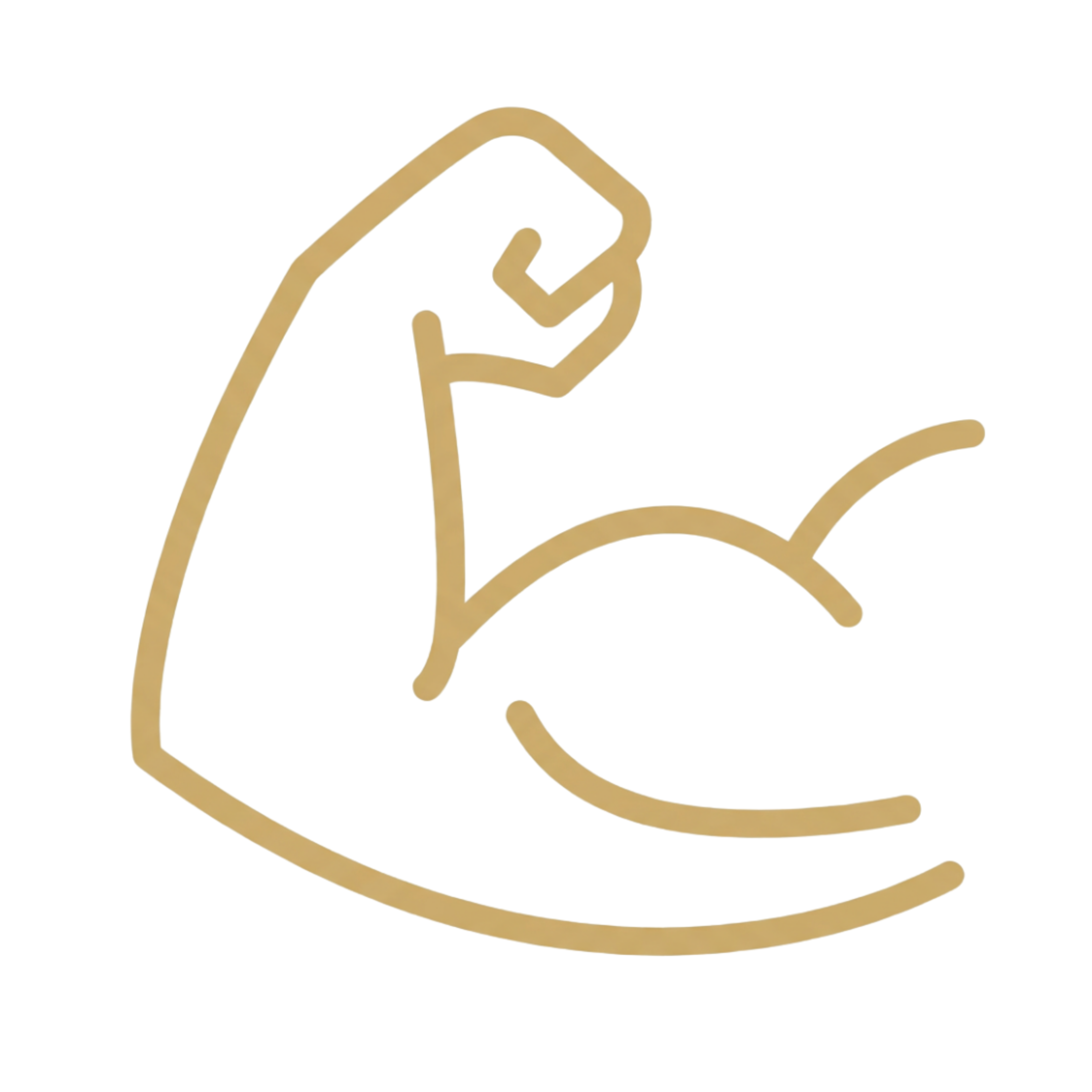 Build muscle training